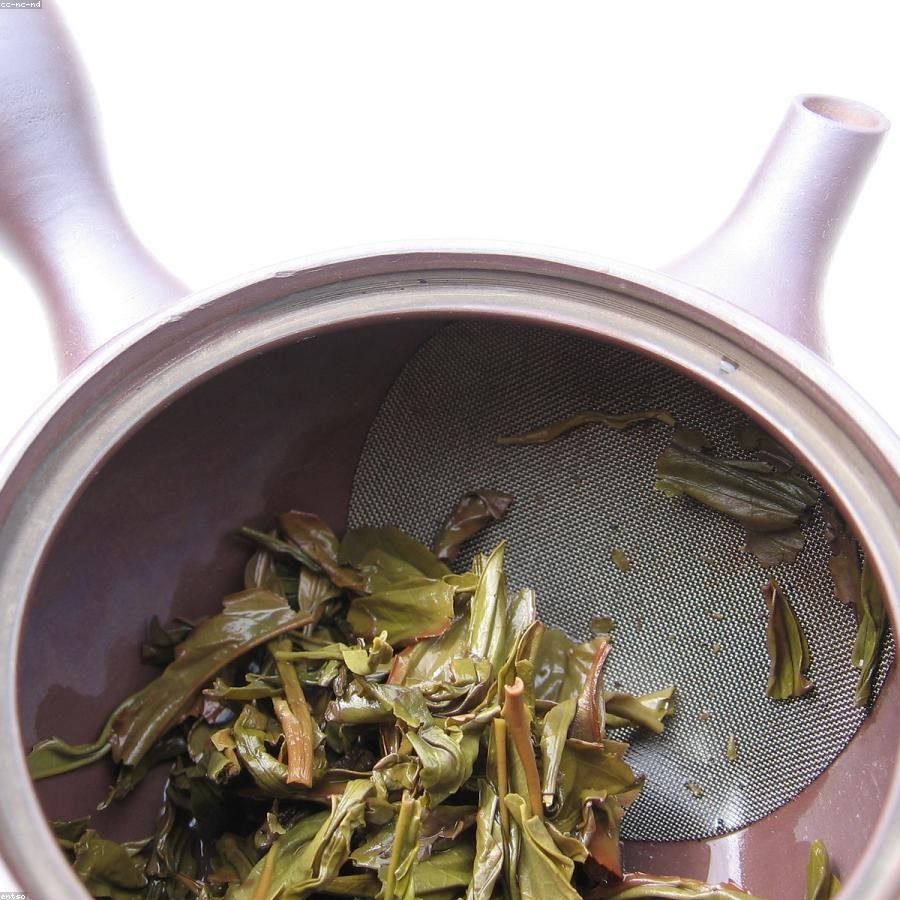 怡真仙芽 · 老枞水仙